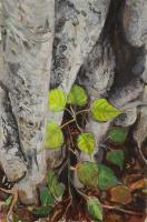 New Leaves